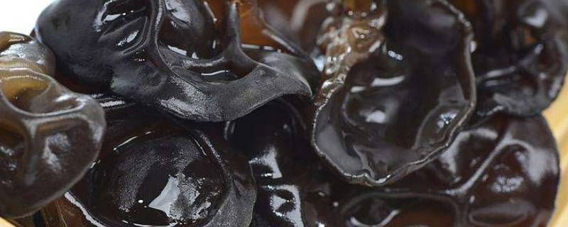 黑木耳用冷水泡还是热水泡 黑木耳是热水泡还是冷水泡