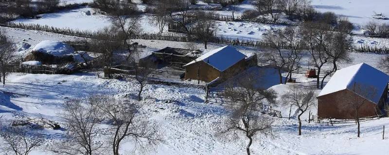 北方冬天刮什么风（北方冬天刮什么风最多）