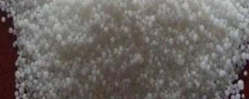 肉豆蔻酸是什么东西（肉豆蔻酸是干嘛的）