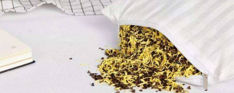 野菊花做枕头需要蒸熟吗（做野菊花枕头的菊花要不蒸）