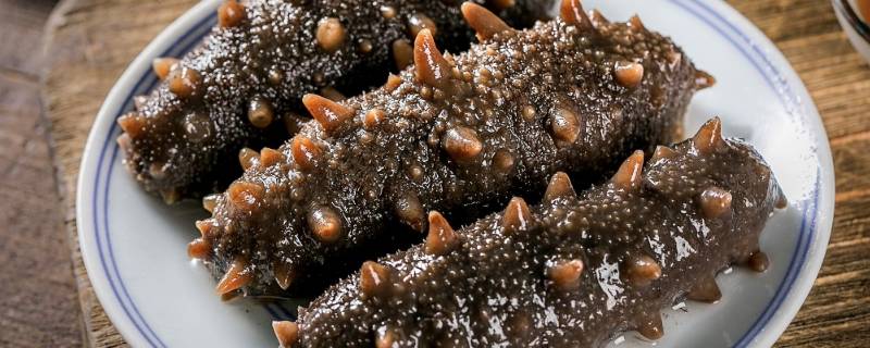 海参要煮多久时间才能吃呢 新鲜海参要煮多久时间才能吃呢