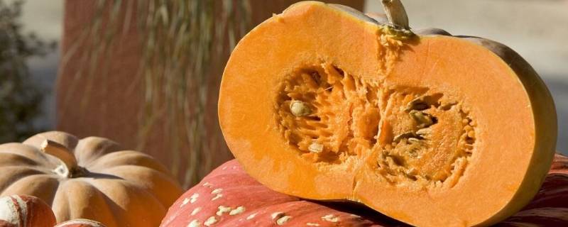 什么蔬菜保存的时间比较长 什么蔬菜保存时间久