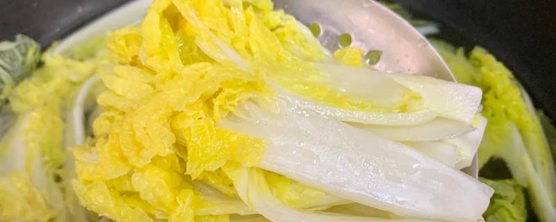 娃娃菜能放多久（凉拌娃娃菜能放多久）