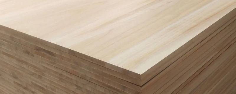 桐木是什么木材（桐木是什么材质）