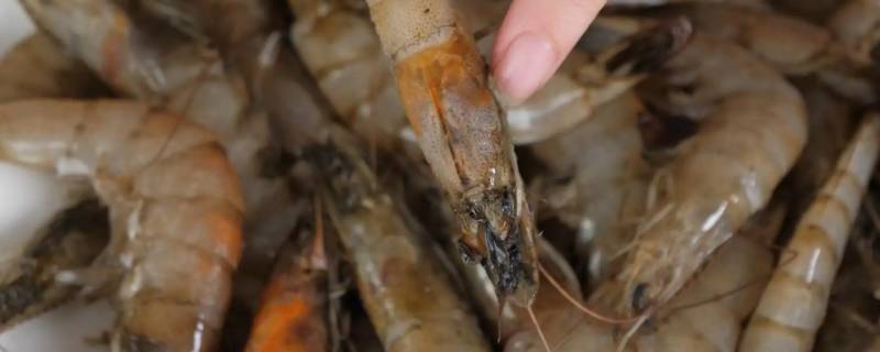 虾头黑是怎么回事 虾头有点发黑是什么原因
