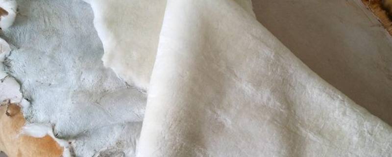 羊剪绒和皮毛一体有什么区别 羊剪绒和羊皮毛一体的区别