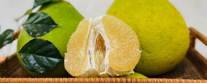 秋天的果园里有什么水果（秋天的果园里有什么水果彩色的铅笔划过果园）