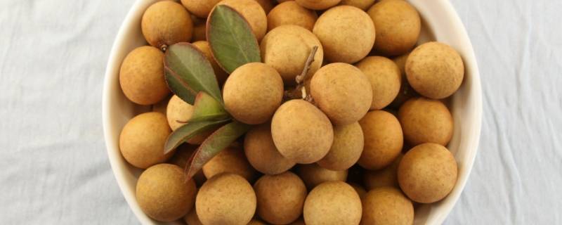 桂圆寓意是什么意思 桂圆的象征
