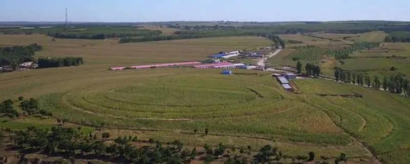 阜蒙县是哪个省 阜蒙县是哪个省的