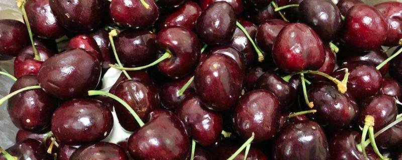 车厘子不脆是不是不新鲜（车厘子口感不脆）