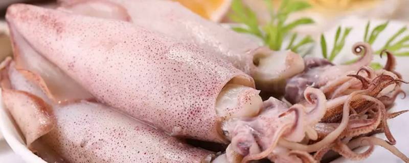 笔管鱼怎么清洗（笔管鱼怎么清洗内脏）