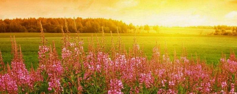 一般几月开始暖和（一般几月份开始暖和）