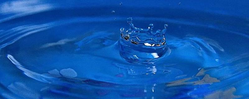 屋里放盆水能吸收一氧化碳吗（屋里放一盆水一氧化碳）