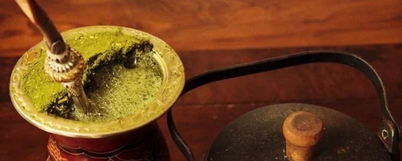 马黛茶是什么植物 马黛茶产地和作用