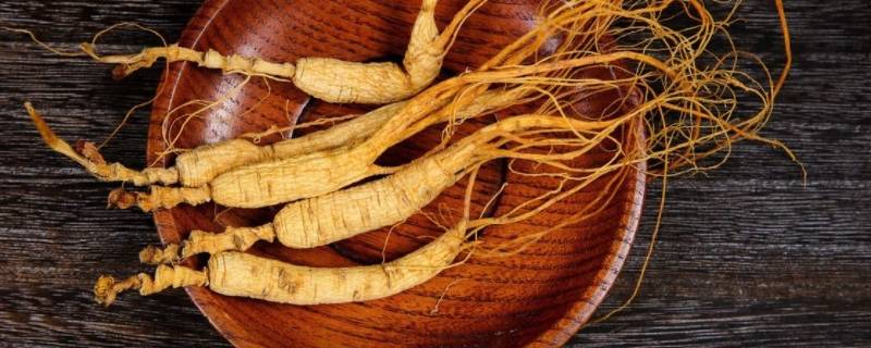 红参是什么（红参是什么时候吃最好）