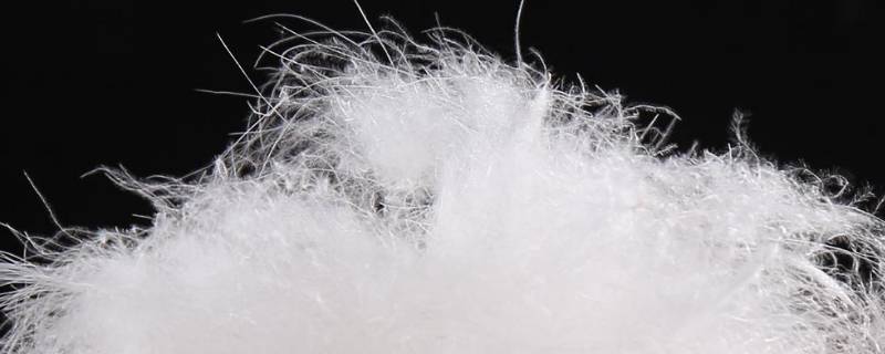 羽绒分为几种等级 羽绒等级的划分区别