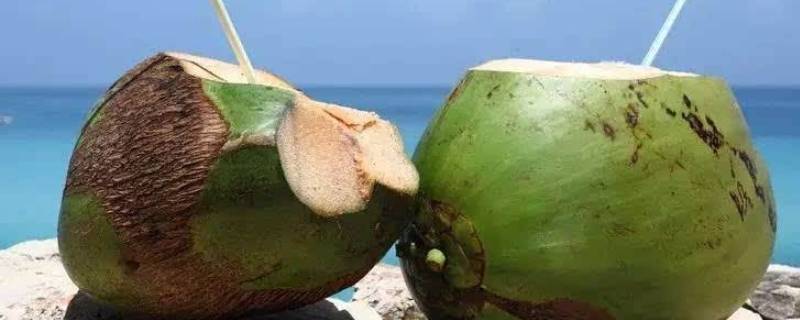 怎样打开椰子 怎样打开椰子视频