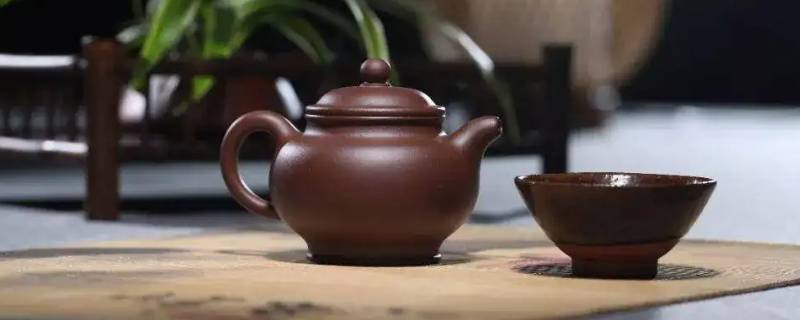 紫砂壶发霉了怎么处理 紫砂壶生霉了怎么处理