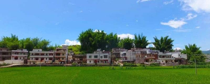什么叫面上村 村上人什么意思