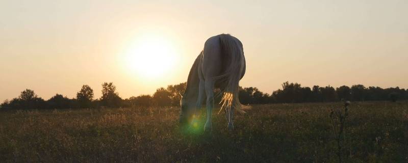 对着太阳是顺光还是逆光 面向太阳是顺光还是逆光