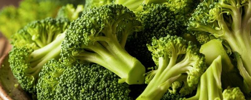 食用植物花的有什么食物（什么食物是植物的花）