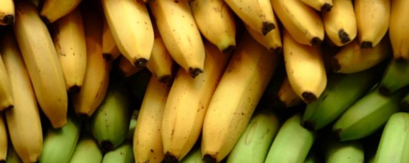 微波炉加热香蕉需要剥皮吗 香蕉放微波炉加热要去皮吗?