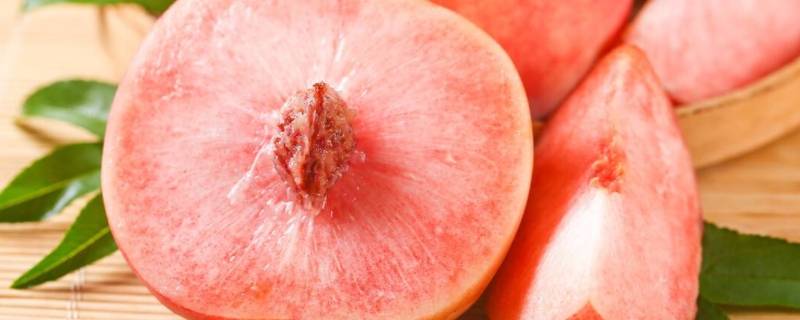 桃子原产地在哪个国家 桃子的原产地在哪里