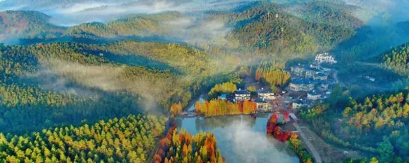 安吉是哪一个省的（安吉是那个省那个市）