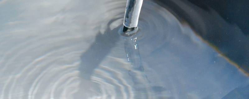 停水缴费后多久能来水（自来水停了缴费后多久能来）