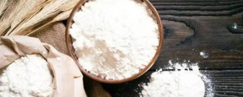 面粉可以溶解在水中吗 面粉能不能溶解在水里