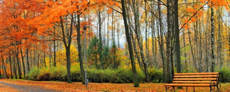 秋天是什么样的季节 秋天是什么样的季节填空