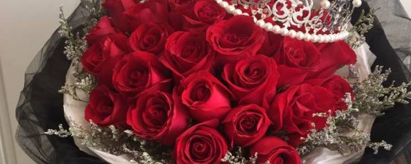 33朵玫瑰花有多大 33朵玫瑰花有多大尺寸