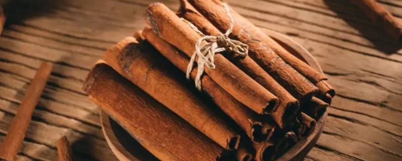 肉桂是什么东西（肉桂是什么东西能有什么效果）