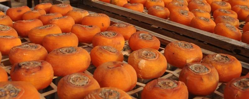 月柿是硬的时候吃吗（硬柿子几月份吃最好）