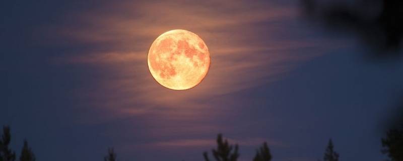 月亮多久圆一次 月亮多久圆一次?