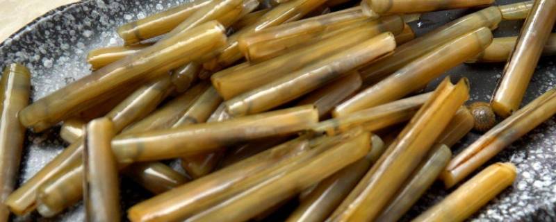 为什么撒盐蛏子就钻出来了（蛏子为什么遇到盐会往外钻）