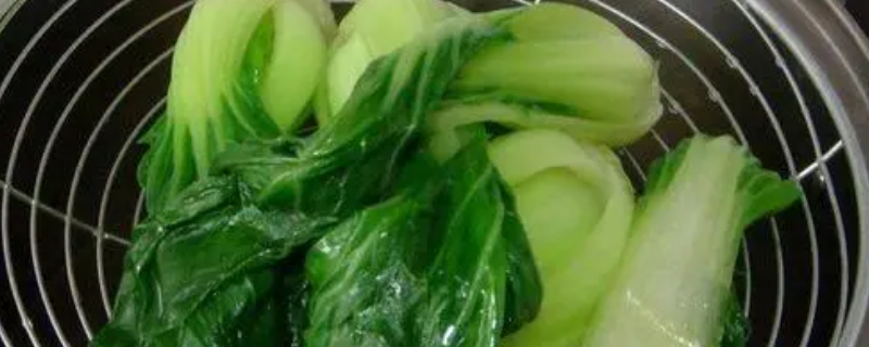 绿叶菜焯水时放入什么不变色 绿叶菜焯水时怎么保持颜色亮