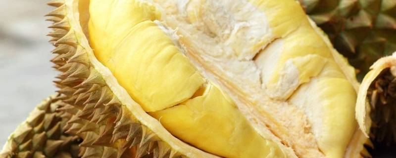 十一月有榴莲卖吗（十一月份有榴莲卖吗）