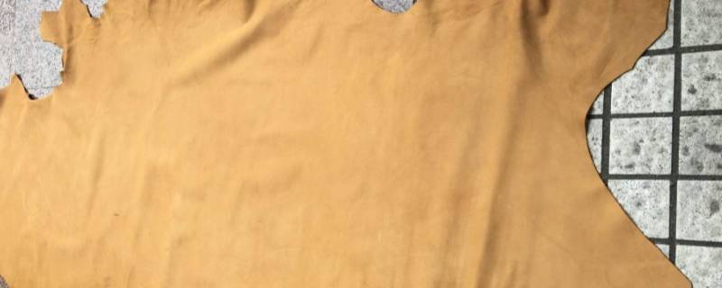 牛巴戈皮是什么皮 牛巴戈牛皮