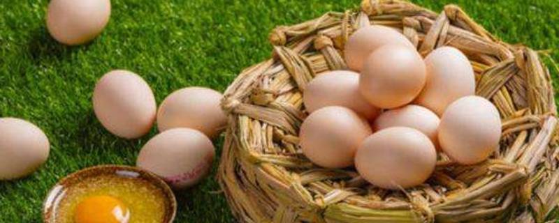 水煮鸡蛋要多久（电煮锅水煮鸡蛋要多久）