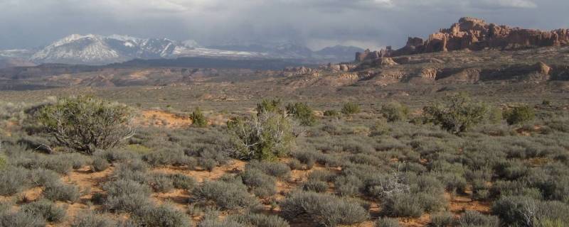 热带气候类型 热带气候类型分布及气候特点