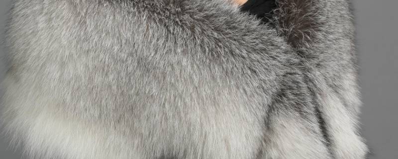 吸光体的物品有哪些（属于吸光体的物品）