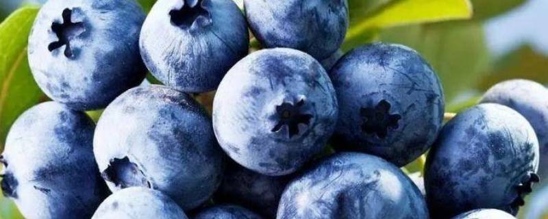 蓝莓酸的能放甜吗（买的蓝莓有点酸放几天会甜吗）