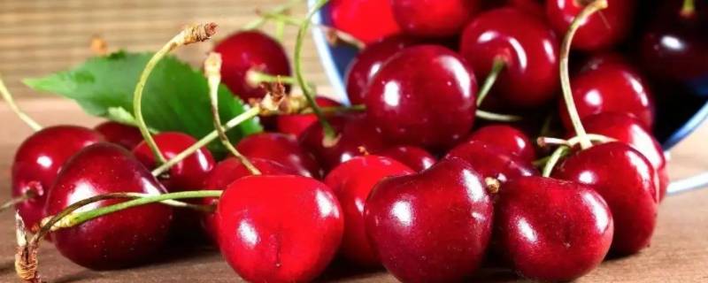 车厘子能不能放在冰箱（车厘子可以放冰箱不）