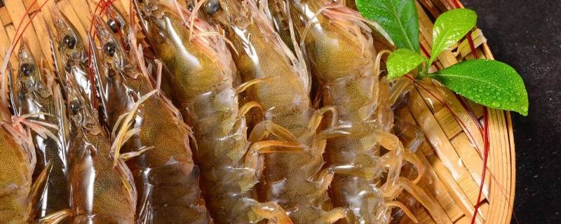 基围虾怎么清洗和处理（基围虾怎么去清洗）