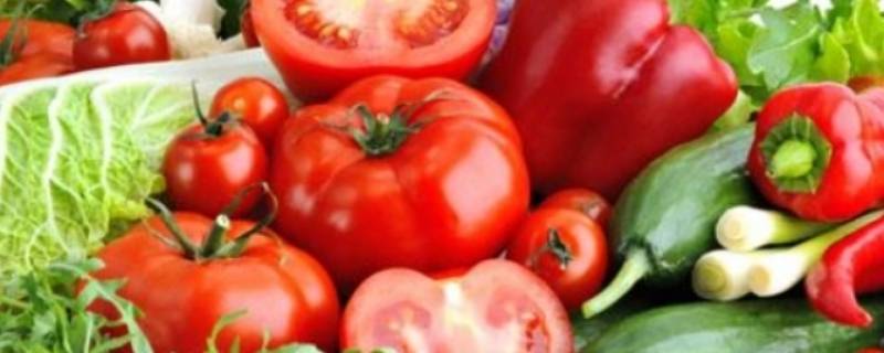 菜园里面有什么菜（菜园里有什么菜?）