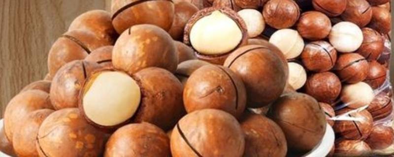 夏威夷果为什么是奶油味的 夏威夷果味道像奶油