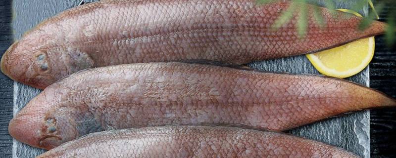 南通板鱼叫什么 龙利鱼