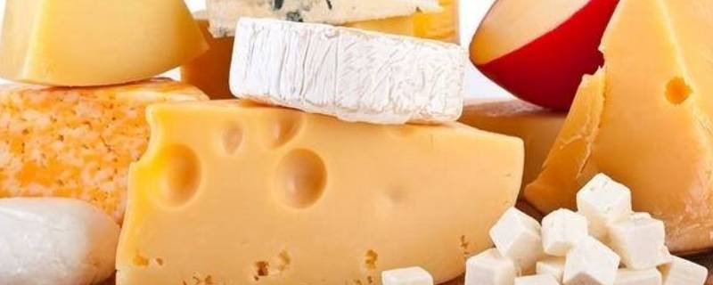 发酵的食物有哪些（豆制品发酵的食物有哪些）