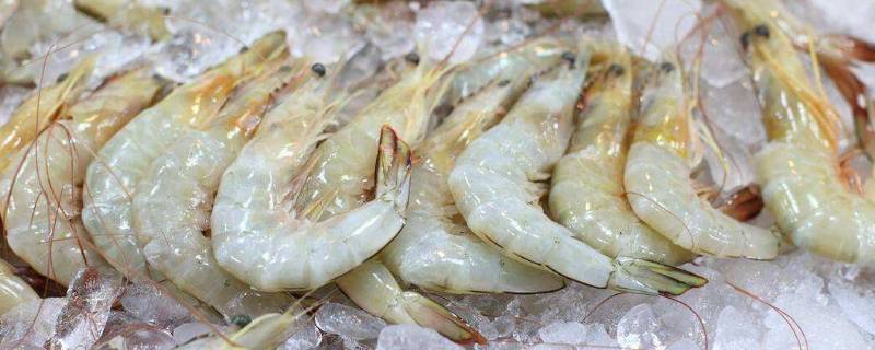 冰冻虾怎么去除虾线（冰冻虾虾线如何快速去除）